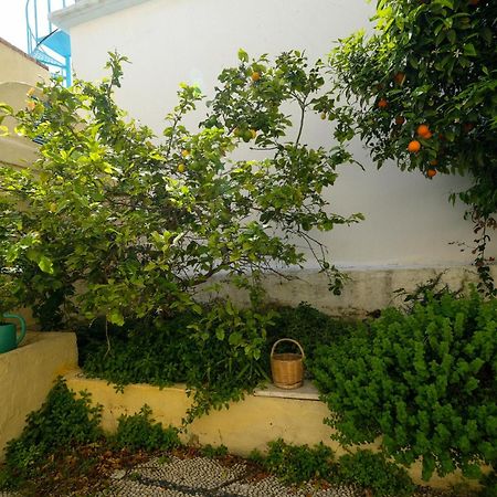 Apartmán Archontiko Pataka Rhodes City Exteriér fotografie