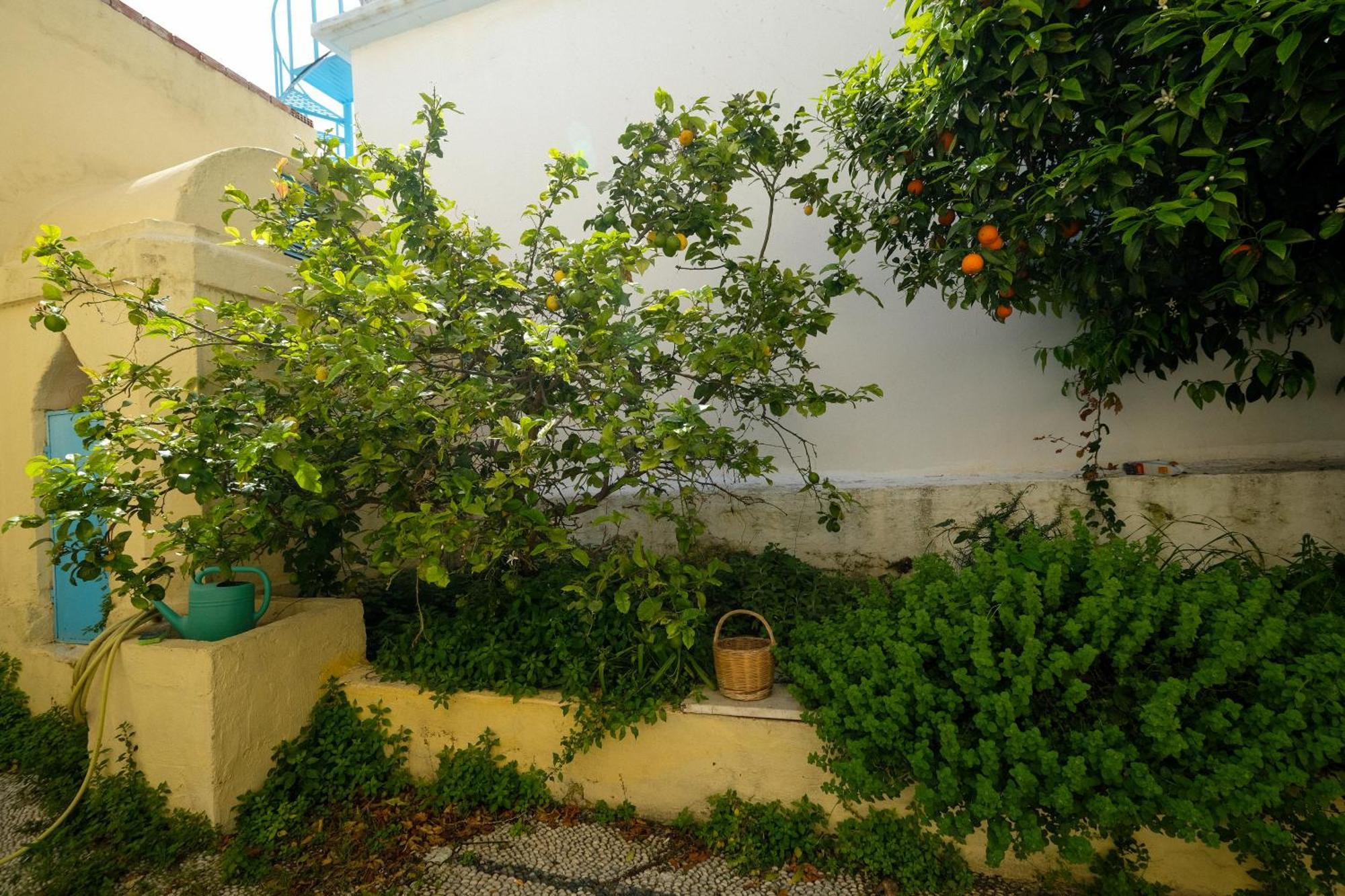 Apartmán Archontiko Pataka Rhodes City Exteriér fotografie
